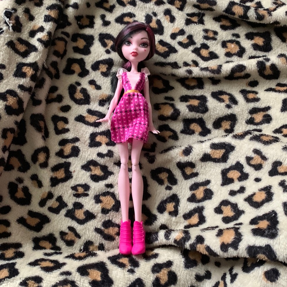 Monster high doll.